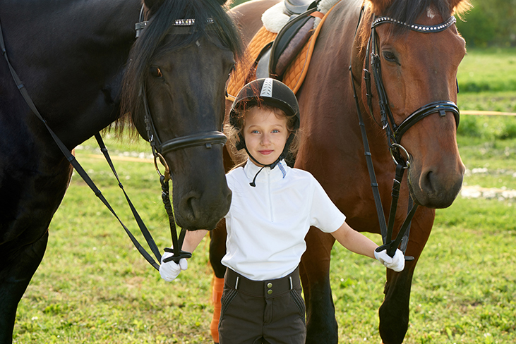 equestrian safeguarding courses