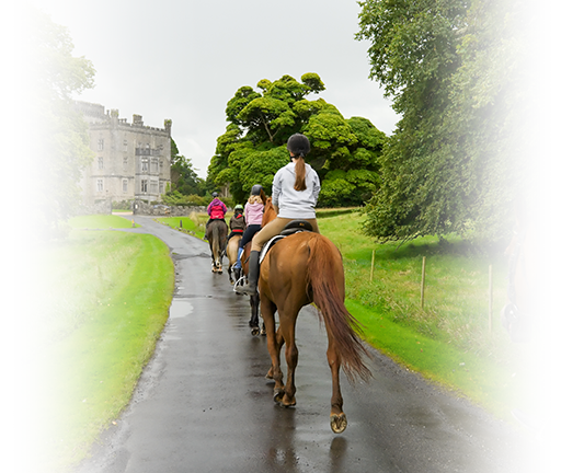 equestrian