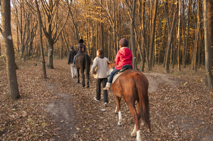equestrian safeguarding training