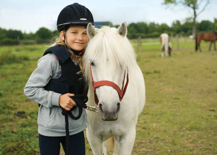 equestrian safeguarding training