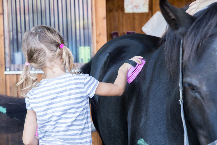 equestrian safeguarding training