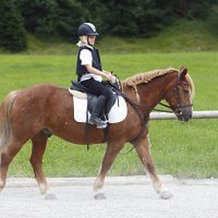 Equestrian Advanced Safeguarding