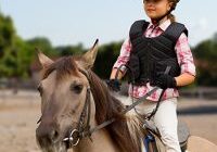 Equestrian Advanced Safeguarding for Safeguarding Officers