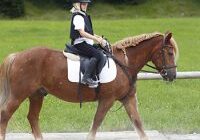 Equestrian Advanced Safeguarding