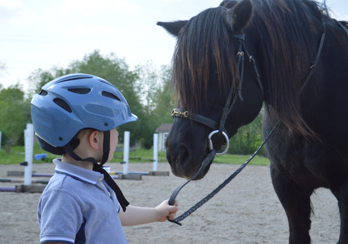 equestrian-advanced-safeguarding-for-safeguarding-officers Young child in a riding helmet leading a dark pony