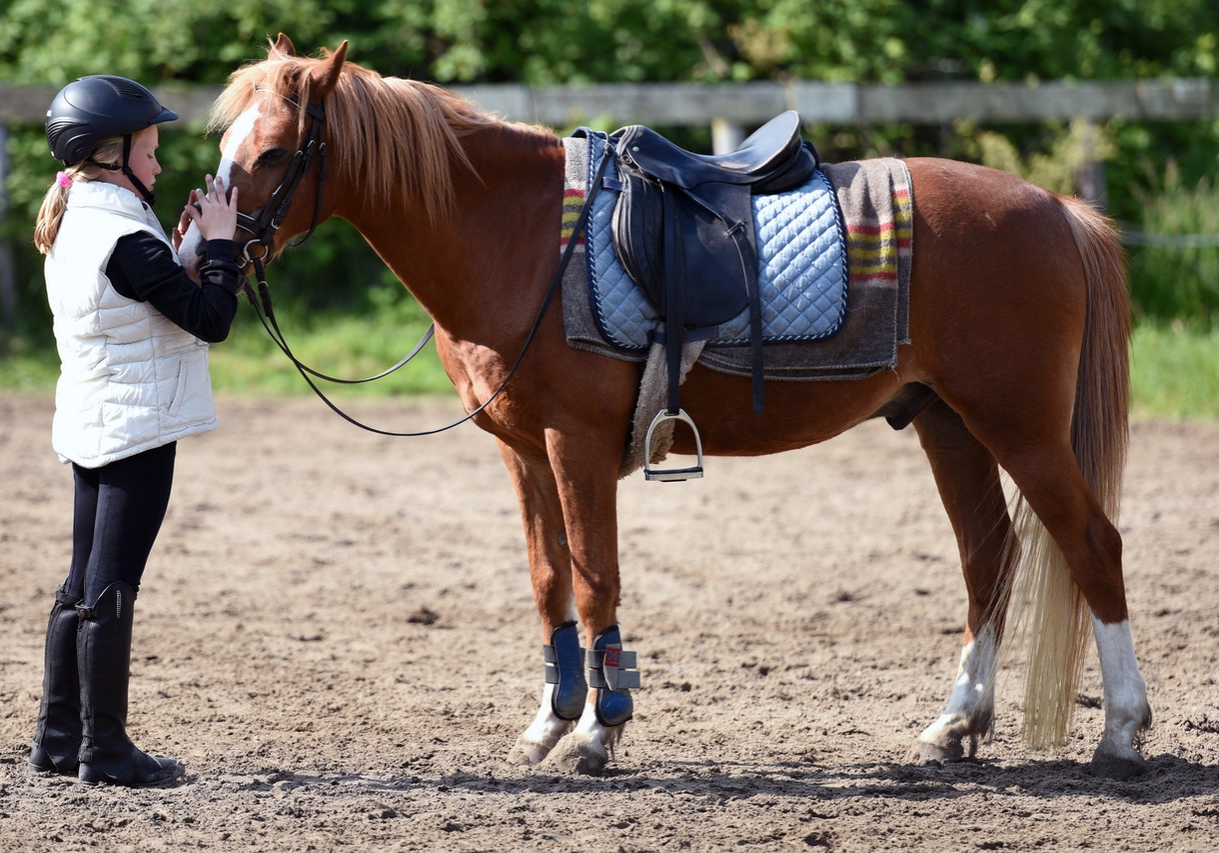 equestrian-basic-safeguarding Young rider in a helmet stroking a saddled chestnut pony in an outdoor arena